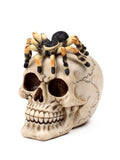 Skull With Spider	Height 13.5cm Width 10cm Depth 14cm