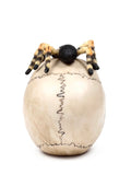 Skull With Spider	Height 13.5cm Width 10cm Depth 14cm