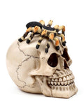 Skull With Spider	Height 13.5cm Width 10cm Depth 14cm