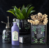 Library of poisonous plants Ceramic Vase in the shape of an upright book lover gift bookish booktok readers present skull gothic alternative