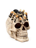 Skull With Spider	Height 13.5cm Width 10cm Depth 14cm