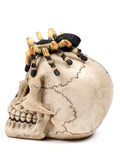 Skull With Spider	Height 13.5cm Width 10cm Depth 14cm